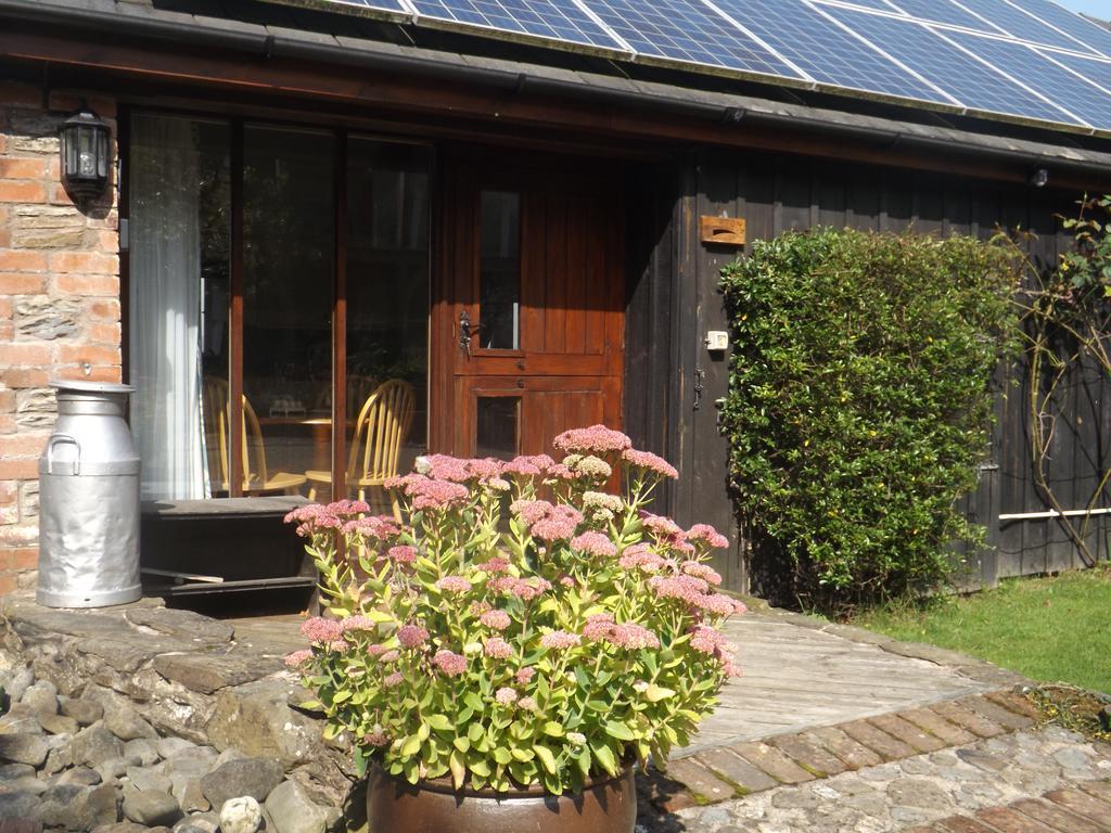 Irfon Cottage Builth Wells Esterno foto